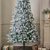Christmas Trees